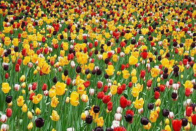 收获日3官网账号怎么注册？收获日3Steam＆Epic账号绑定教程